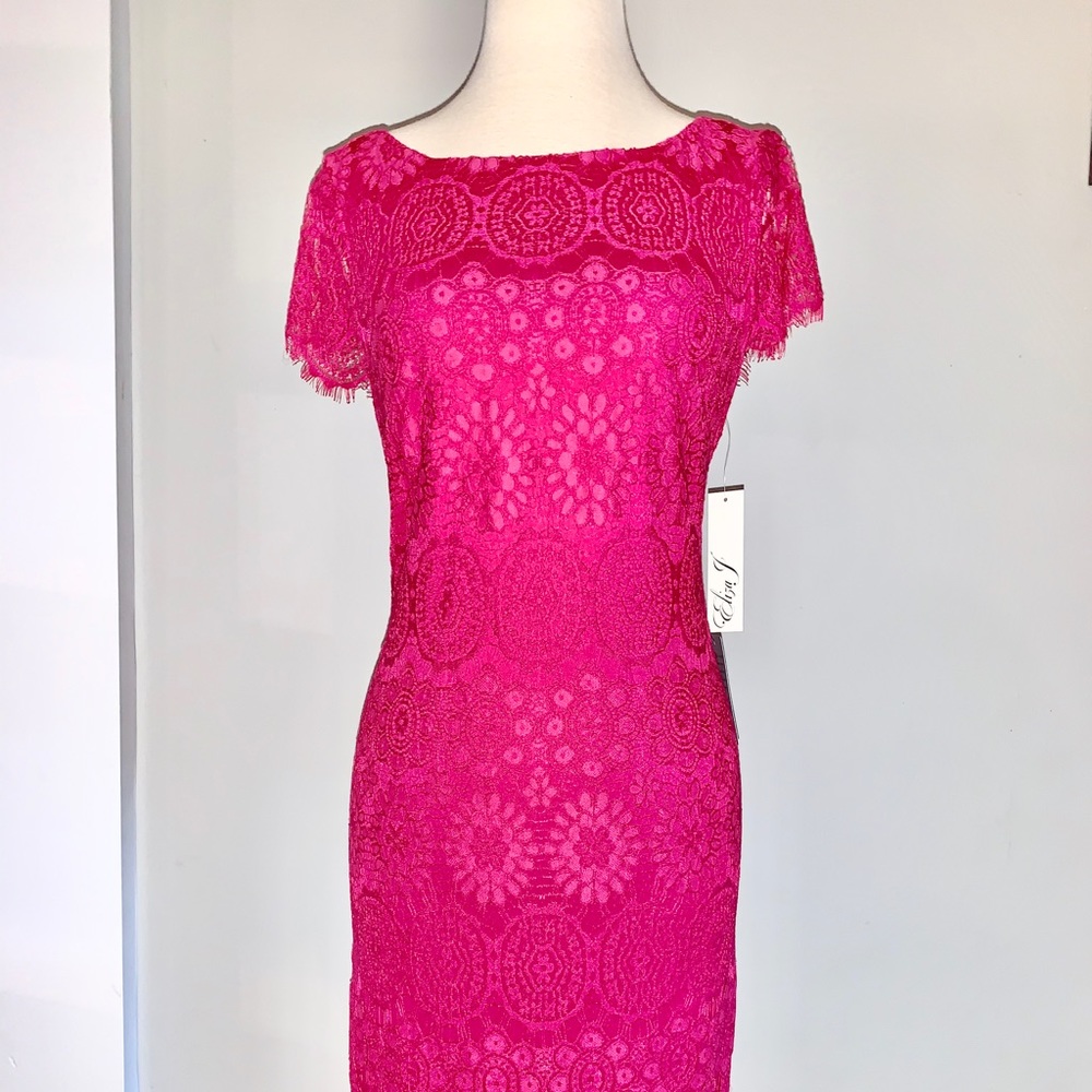 *NWT* Eliza J Scalloped Lace Cap Sleeve Dress Sz 8